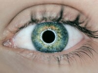 正在赋予其人工智能视觉能力